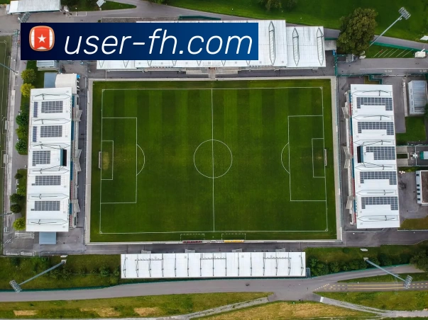 凤凰体育平台生态图