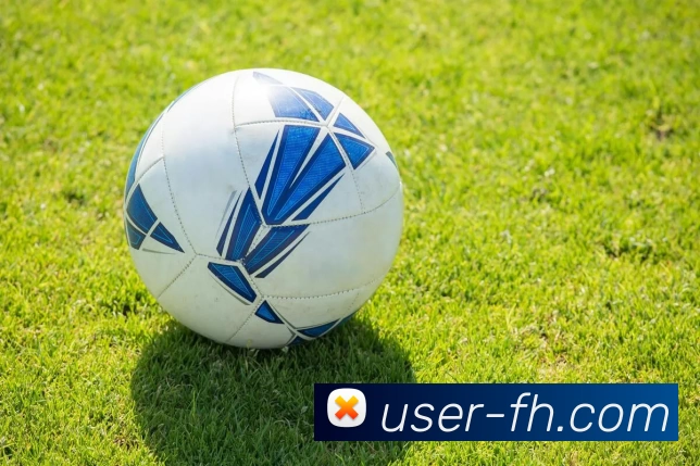 凤凰体育全站App